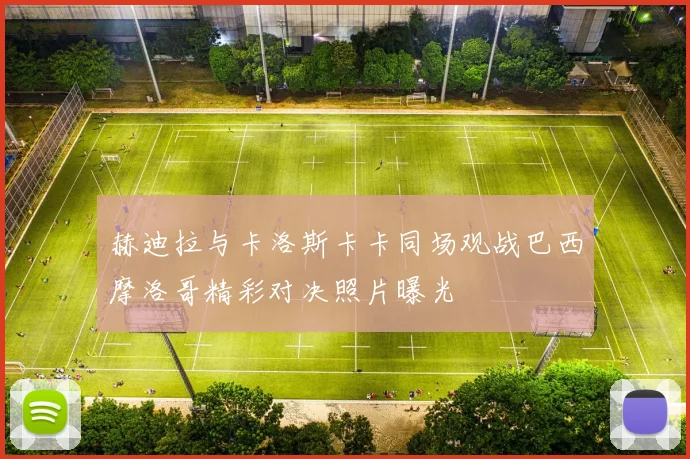 赫迪拉与卡洛斯卡卡同场观战巴西摩洛哥精彩对决照片曝光
